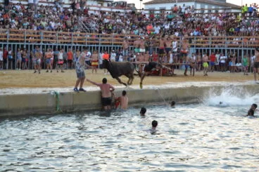 Bous a la Mar en Dénia