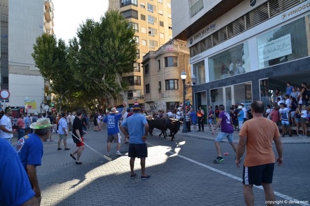 23 primer dia de fiestas de denia 2016 toros hacia la plaza