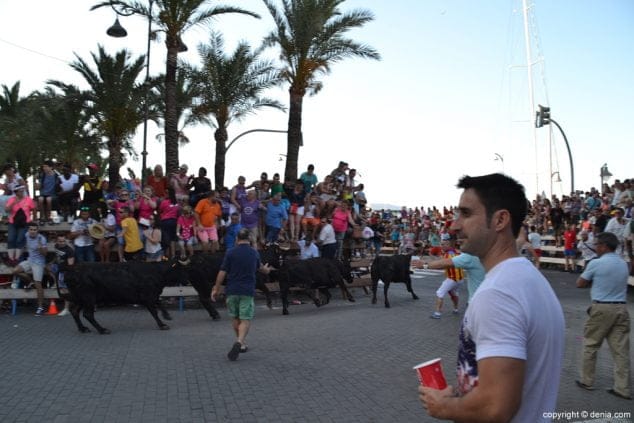 25 primer dia de fiestas de denia 2016 toros