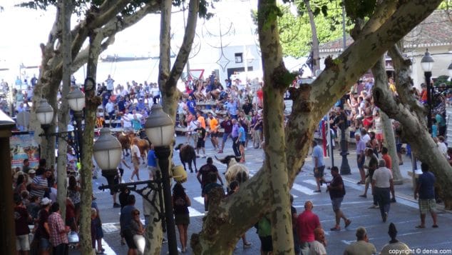 28 entrada de toros denia toros