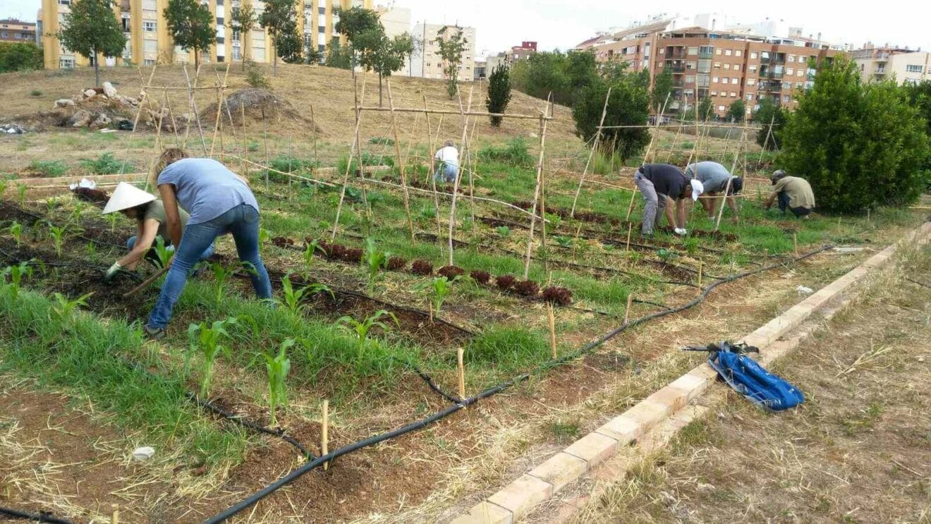 Curso de agricultura ecológica en el Bosc de Diana