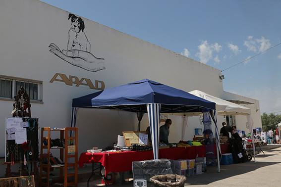 Fiesta en APAD
