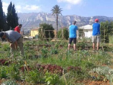 Huertos en el Bosc de Diana