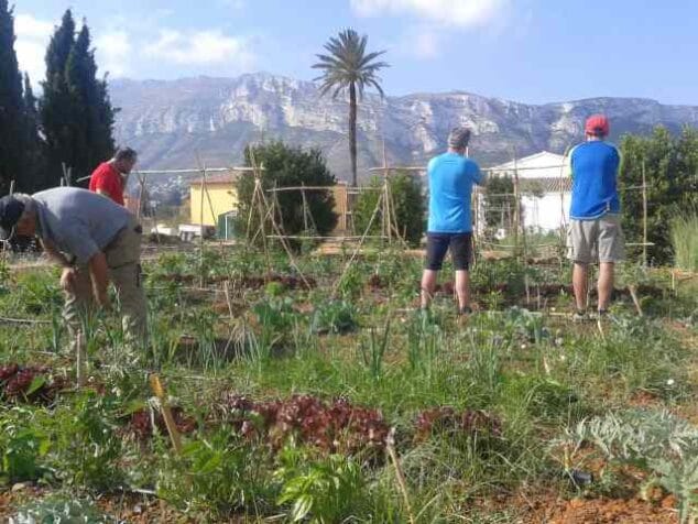 huertos en el bosc de diana