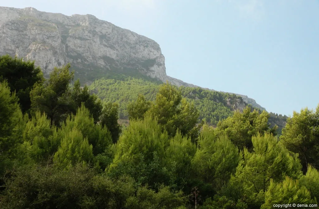 Rescatan a dos turistas que pasaron la noche en el Montgó tras perderse de camino a la Creueta 1 Parque Natural Montgó