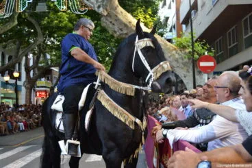 Desfile de Gala Moros y Cristianos Dénia 2016 – FEMMICC