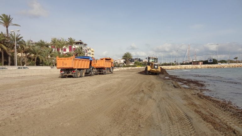 Camiones en tareas de limpieza en la playa de la Marineta Cassiana