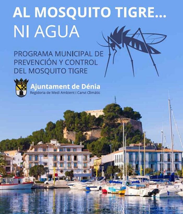 Dénia sigue su cruzada contra el mosquito Tigre 2 Cartel mosquito tigre