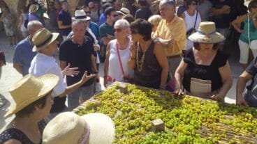 Javier Scotto explicando a Frau, Marcos y Baldoví el proceso