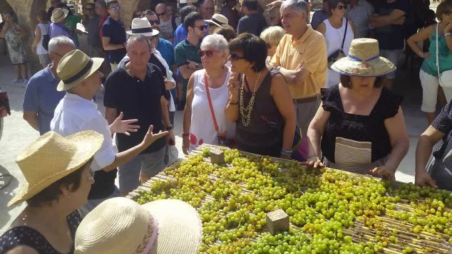 javier scotto explicando a frau marcos y baldovi el proceso