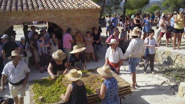 mujeres extendiendo la uva en el canizo