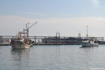 La Peregrina en Dénia – El barco entrando en el puerto