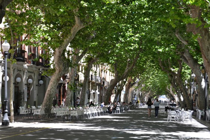 Calle Marqués de Campo sin coches