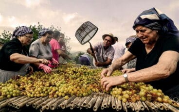 els riuraus lelaboracio de la pansa