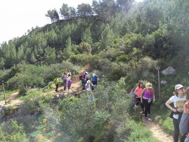 Las rutas medioambientales de Dénia reunieron este verano a 250 personas 2 excursiones verano 2016 denia