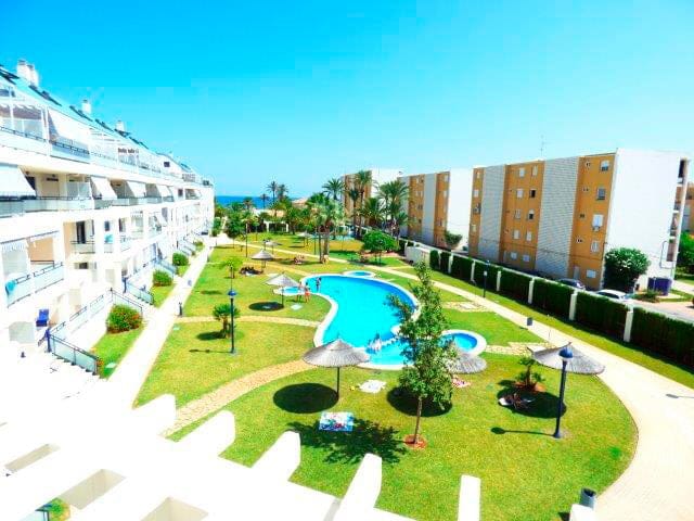 AFIN te ofrece en alquiler un apartamento con piscina, jacuzzi y acceso directo a la playa 1 Piscina comunitaria Apartamento disponible en Afin