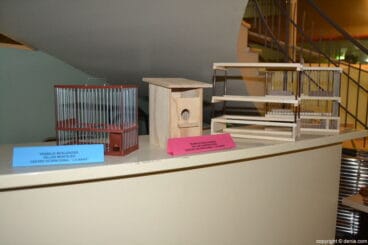 Presentación campaña sensibilización Aprosdeco – Exposición de trabajos