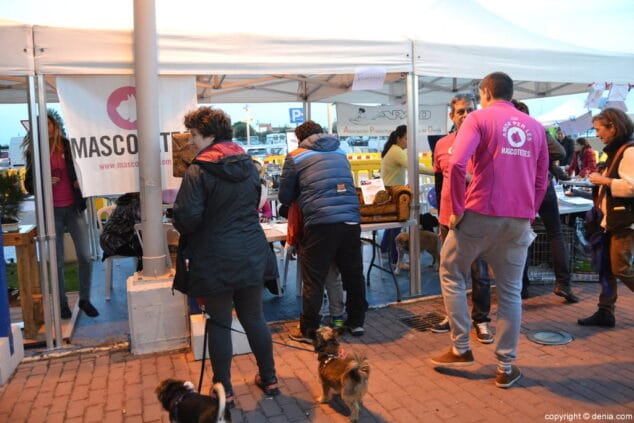 07 jornada solidaria en portal de la marina mascotetes