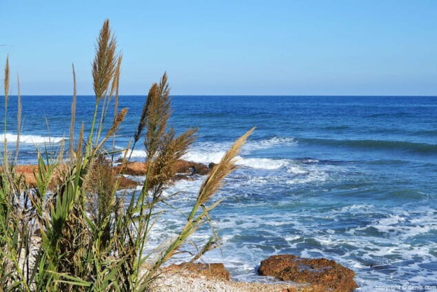 Los versos de María Ibars acompañan nuestros pasos en Les Rotes 15 13 playa de les rotes