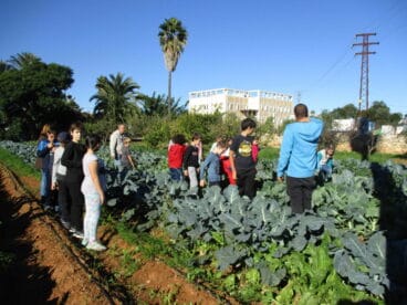 Actividades medioambientales en Torrecremada