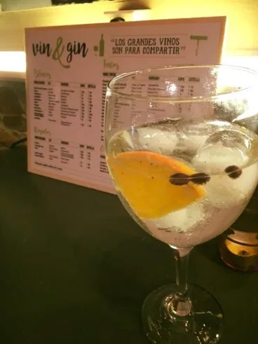 Gin Tonic Vin&Gin