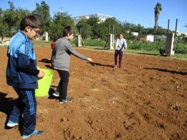 Huertos abiertos Torrecremada