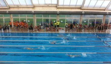 prueba de la liga comarcal escolar de natacion