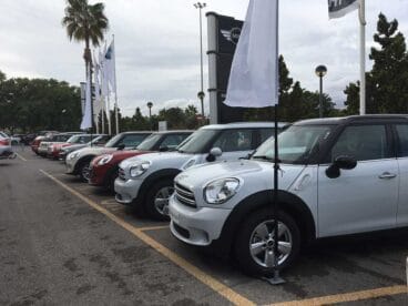 Varios minis Fersán Vergel