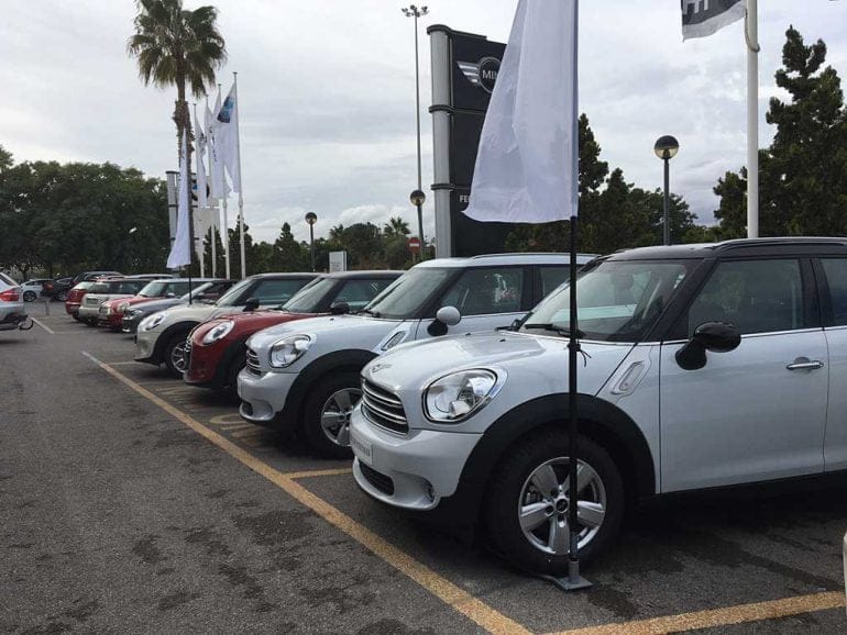 Varios minis Fersán Vergel