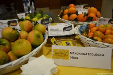 IV Fòrum Arròs a Banda Dénia – Mandarina Ecològica Dénia