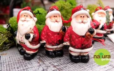papa noel natura garden