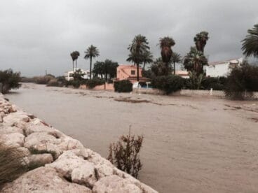 rio racons 768x577 1