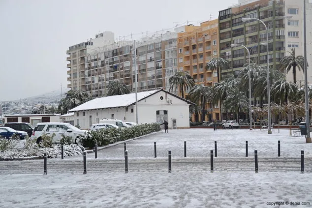 Estampa de Dénia tras la intensa nevada caída a primera hora de la mañana 5 antigua lonja nevada