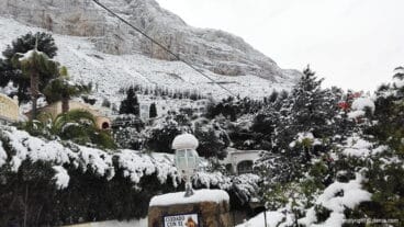 Árboles nevados en el Montgó