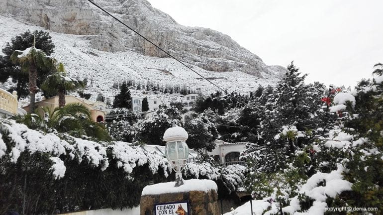 Árboles nevados en el Montgó