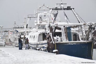 Barcas de pesca amarradas con nieve