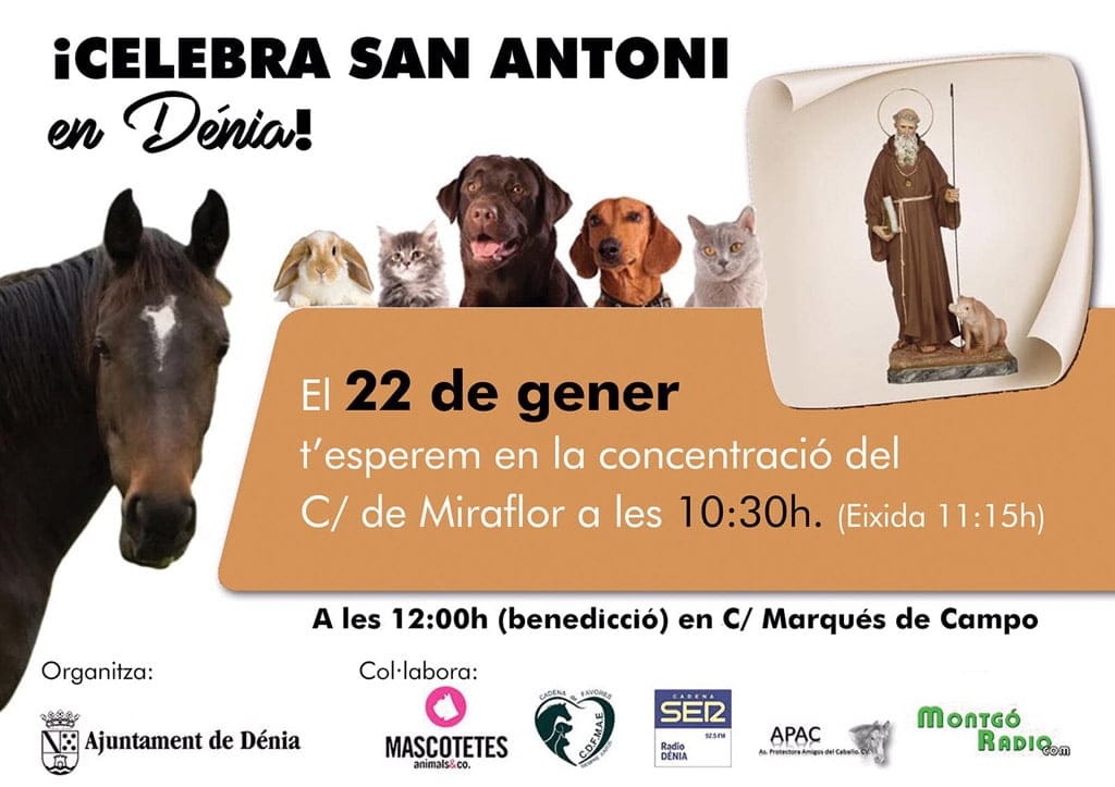 Dénia celebrará la bendición de animales el próximo 22 de enero 1 bendicion de animales 2017