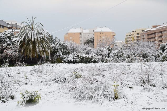 campos llenos de nieve