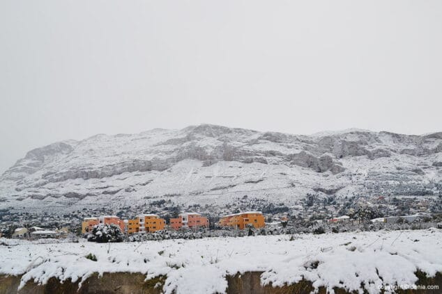 el campo dianense blanco