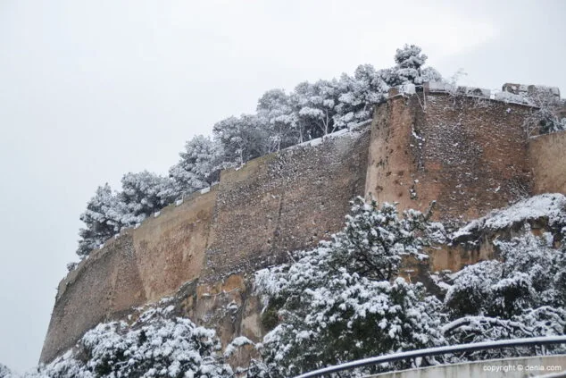 Estampa de Dénia tras la intensa nevada caída a primera hora de la mañana 30 el castillo con sus arboles nevados