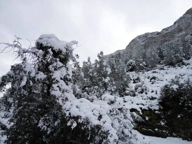 Estampa de Dénia tras la intensa nevada caída a primera hora de la mañana 95 el montgo tenido de blanco