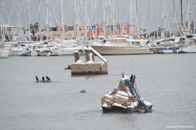 Estampa de Dénia tras la intensa nevada caída a primera hora de la mañana 35 en la zona del club nautico