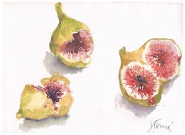 Figues – pergamino Saladar 2017