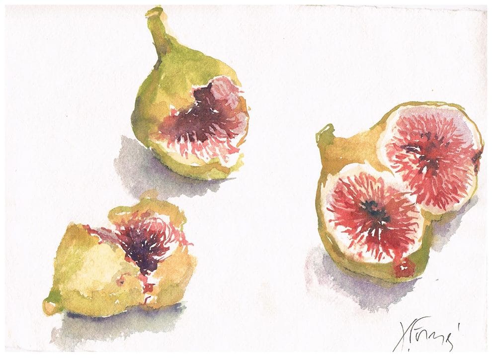 figues pergamino saladar 2017