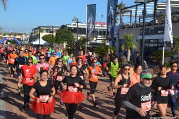 Grupo de ratitas disfrazadas