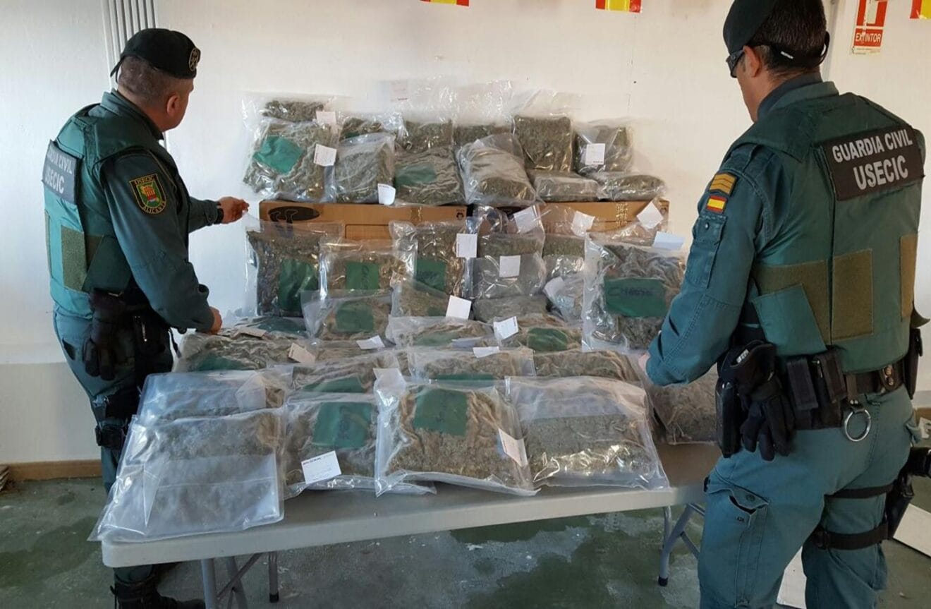 Marihuana incautada