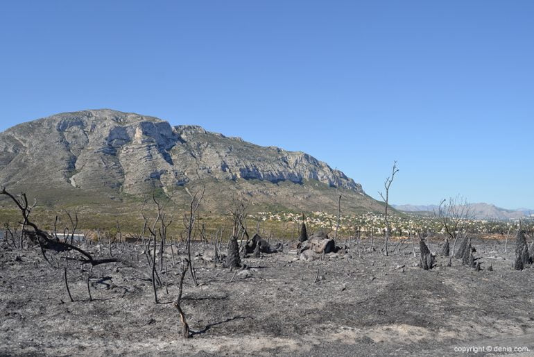 Incendio en 2014 - el Montgó desde la Lloma del Castanyar
