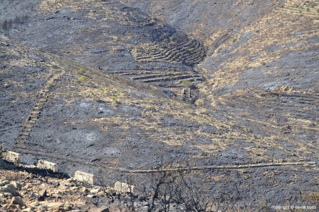 incendio en 2014 valle