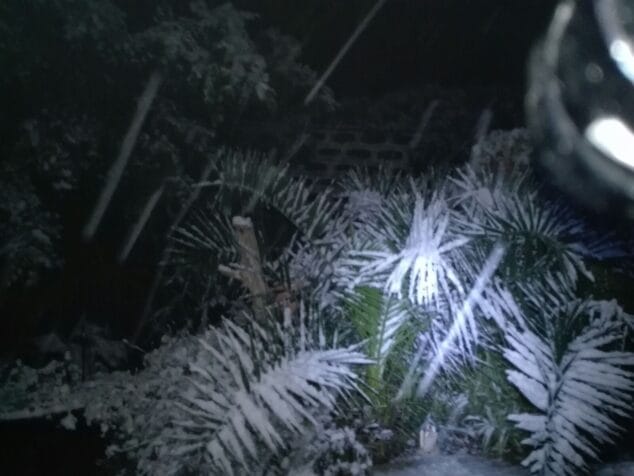 nieve en denia