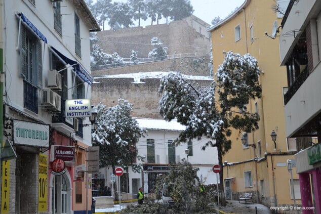 operarios cortando una rama